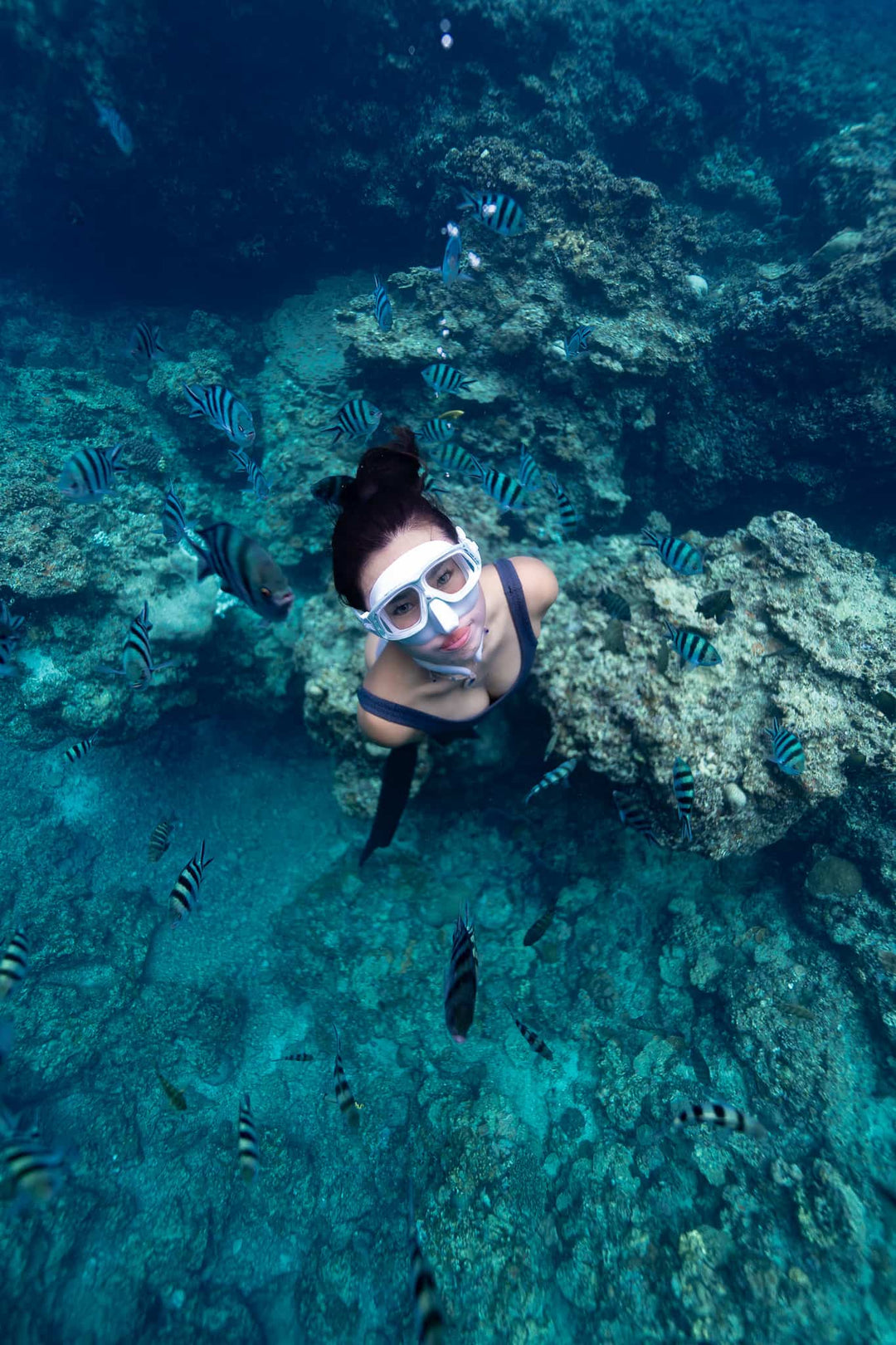 Ummy Libediving Mask Reef Prism Series (Leaf Prism Series) 4 couleurs, modèle limité de la peau de la peau de plongée en apnée