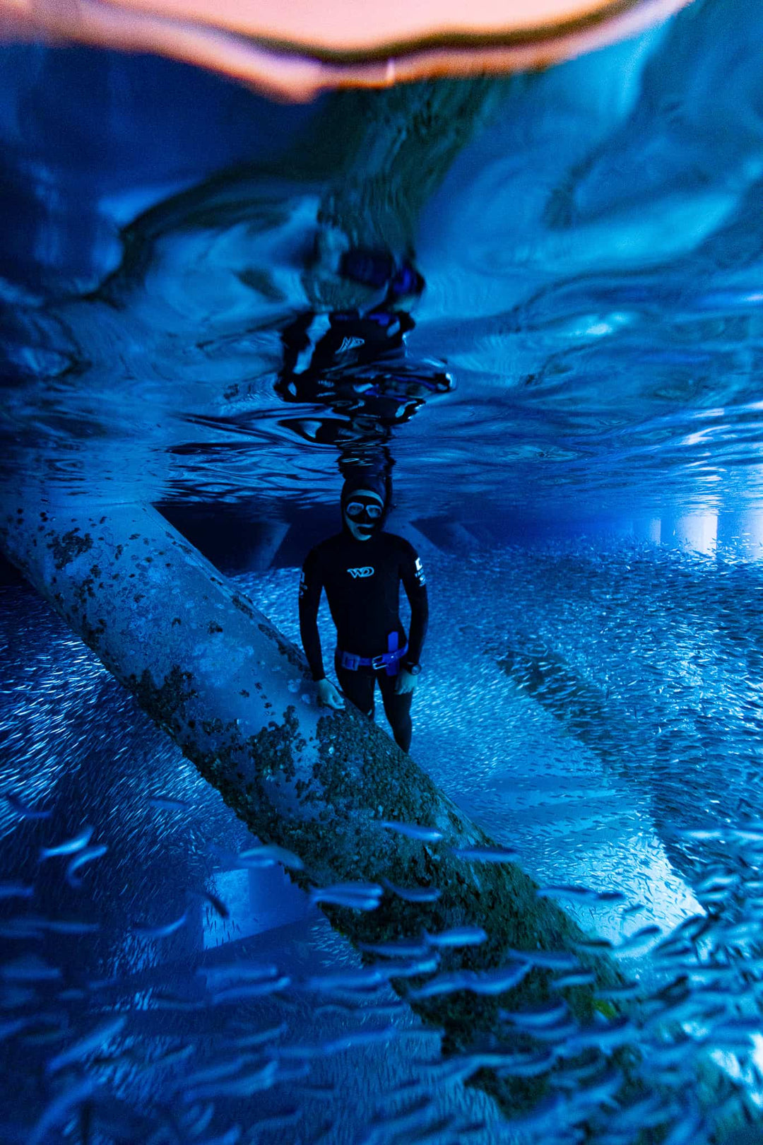 UMMY フリーダイビングマスク ミジュン 全5カラー フリーダイビング スキンダイビング 素潜り スキューバダイビング